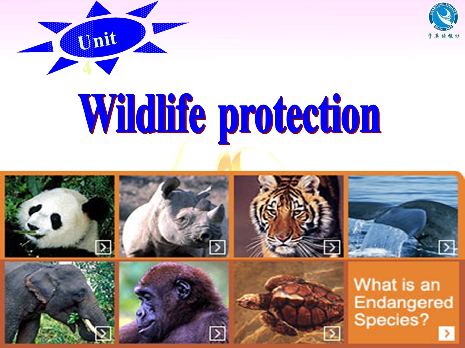 人教版高中英语课件：Unit 4　Wildlife protection　.ppt_第1页