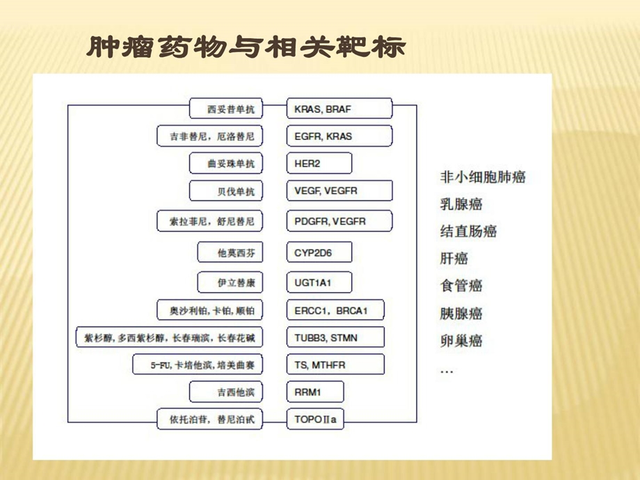 [精彩]肿瘤分子诊断.ppt_第3页