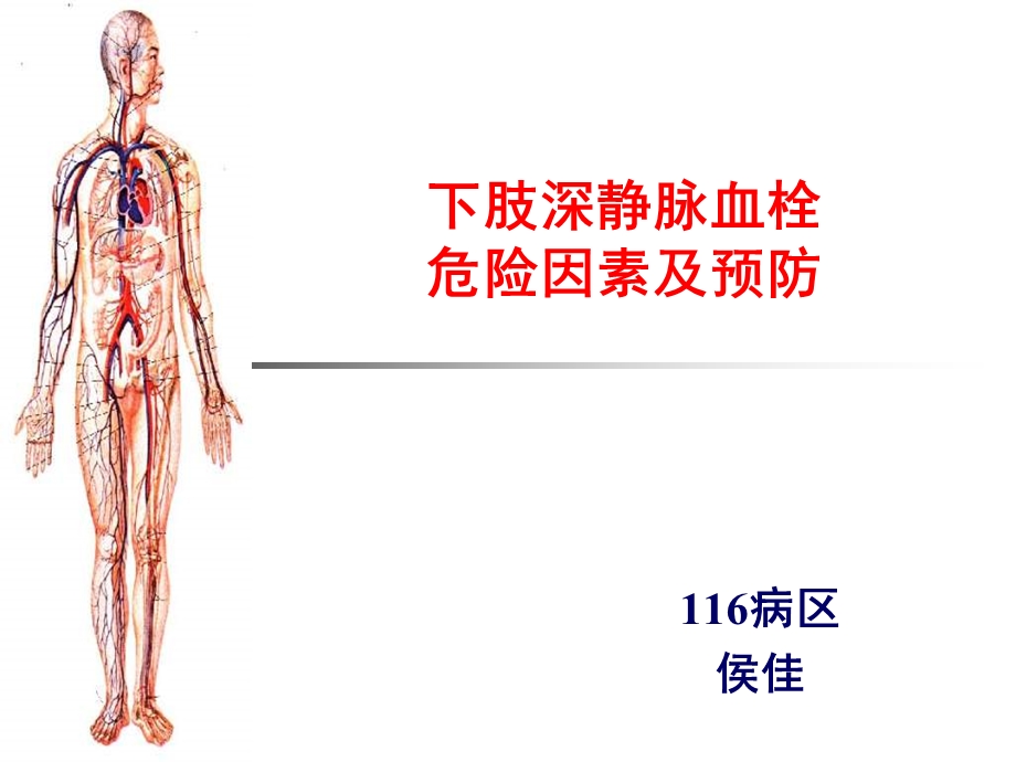 下肢深静脉血栓危险因素及预防.ppt_第1页