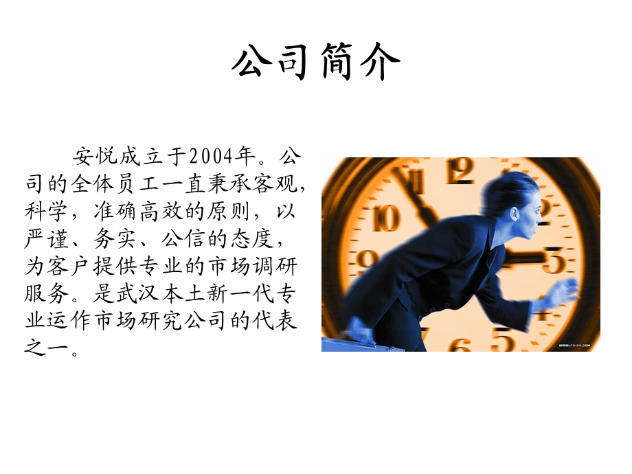 XXX商务咨询公司简介手册.ppt_第2页