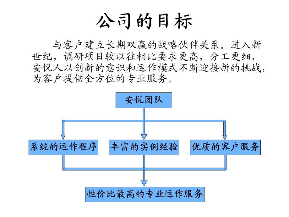 XXX商务咨询公司简介手册.ppt_第3页