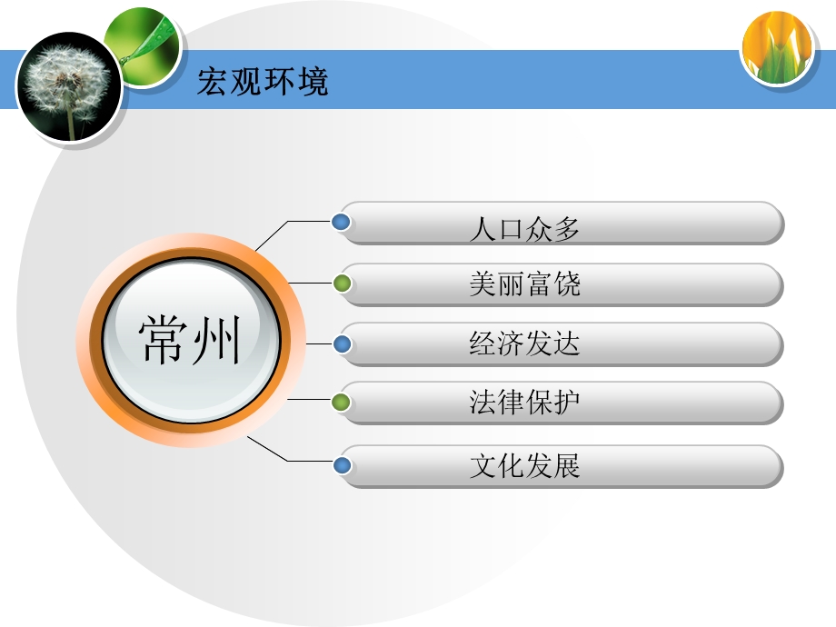 常州华卓电子有限公司电子商务整体解决方案(1).ppt_第2页