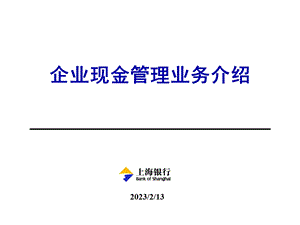 现金管理平台介绍企业培训.ppt