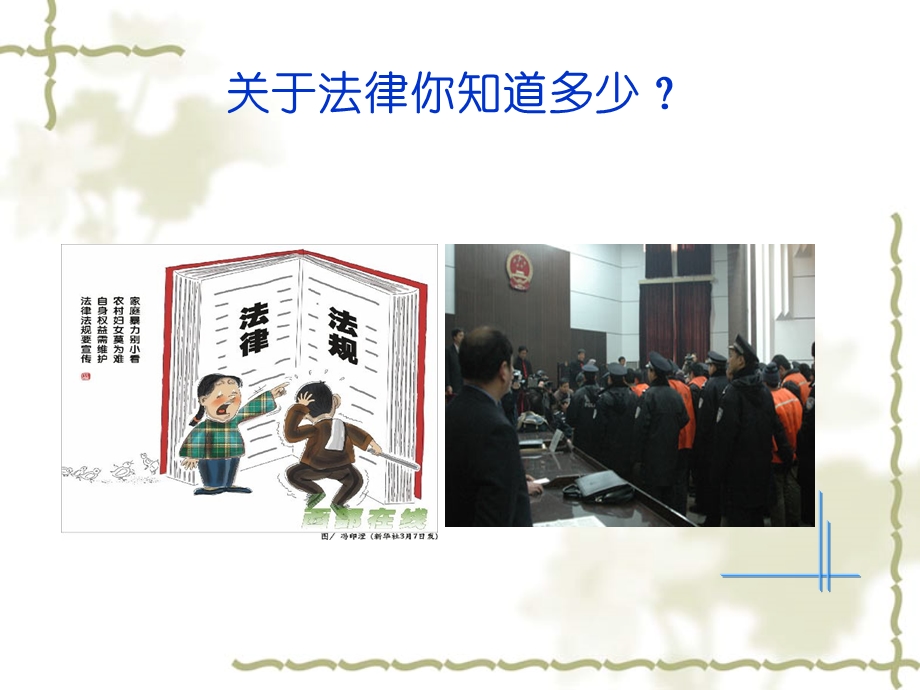 第六章学习宪法法律建设法治体系.ppt.ppt_第2页