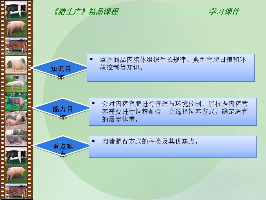 13育肥肉猪.ppt_第2页