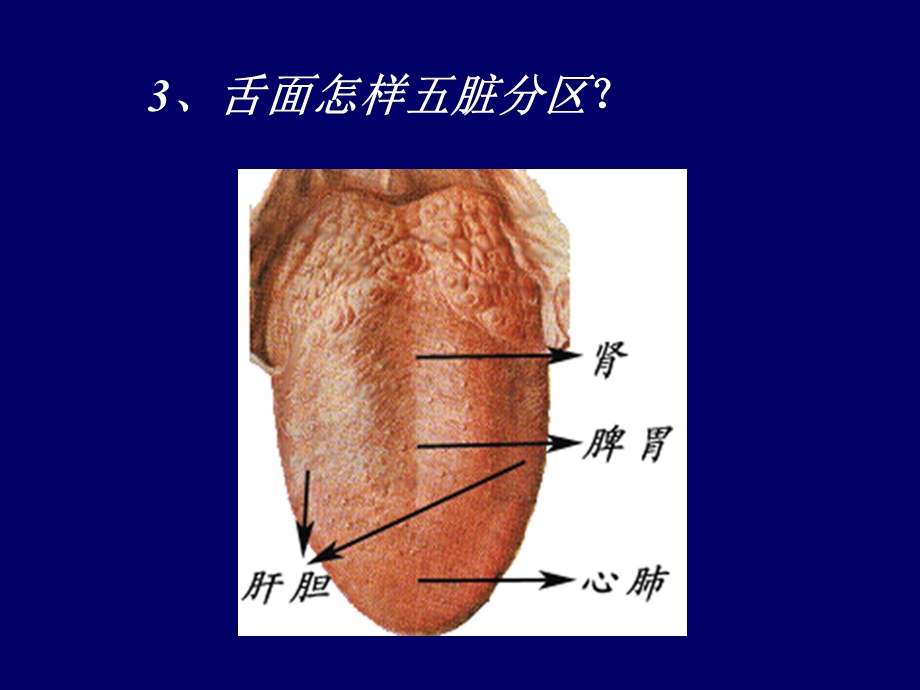 舌诊部分.ppt_第3页