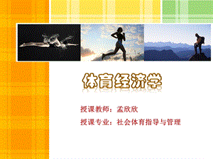 体育经济学第六章 体育投融资.ppt