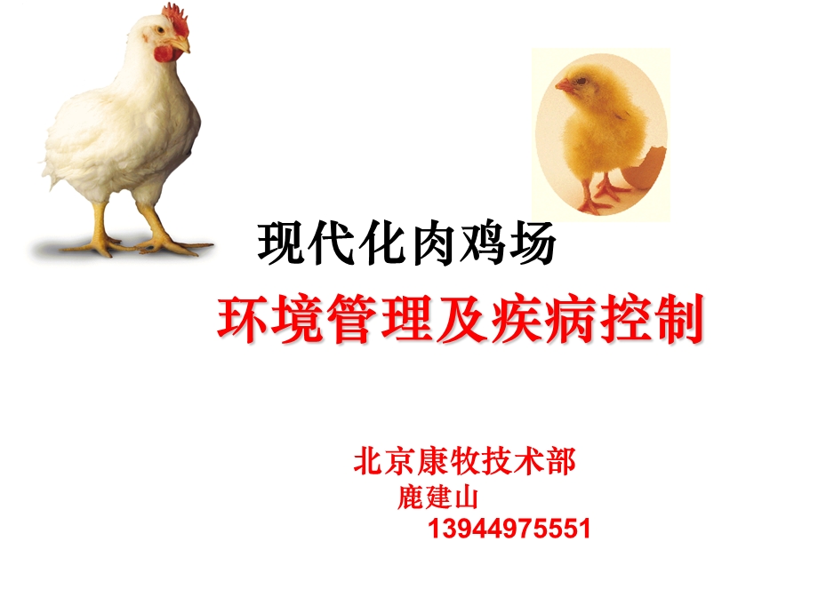 肉鸡环境管理.ppt_第1页