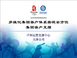 多维化集团客户体系实现全方位集团客户支撑(1).ppt