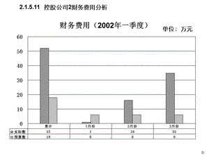 控股公司财务费用分析报告模版.ppt