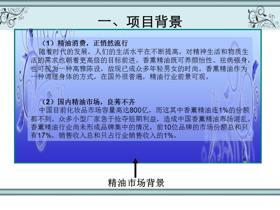 某精油网站商业计划书.ppt_第3页