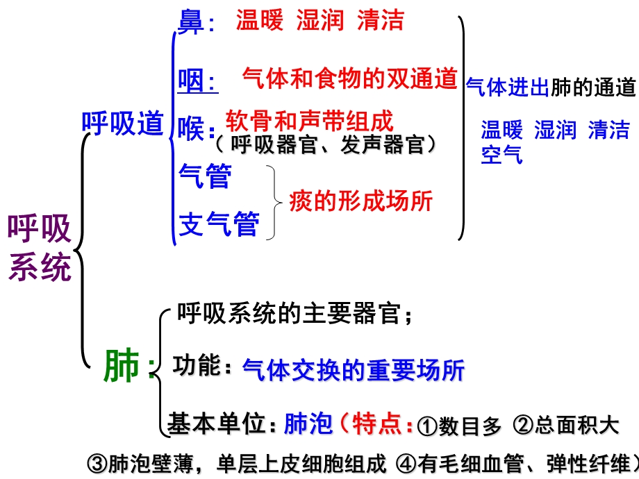 呼吸运动和肺通气..ppt_第3页