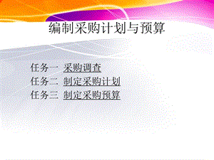 编制采购计划与预算.ppt