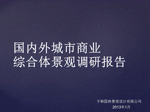 国内外城市商业综合体景观调研报告(三).ppt