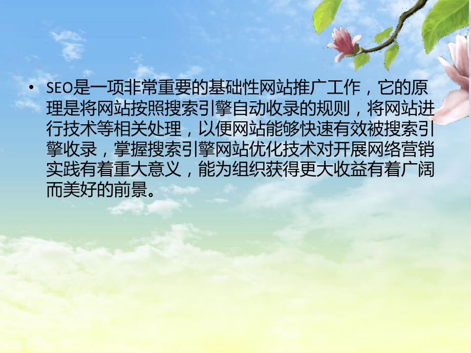 网站选择SEO的必要性分析.ppt_第2页