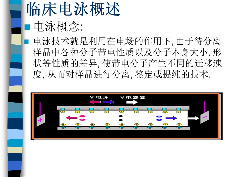 蛋白电泳临床应用.ppt_第2页