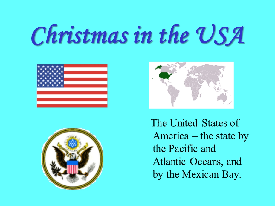 Christmas in the USA.ppt_第1页