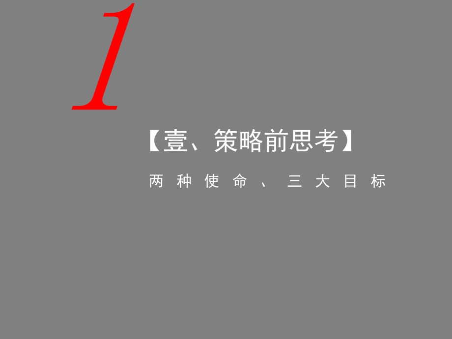 【天启开启】南京保利仙林湖项目前期定位与营销探讨111P.ppt_第3页