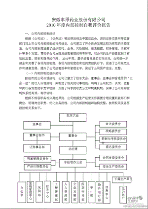 丰原药业：内部控制自我评价报告.ppt