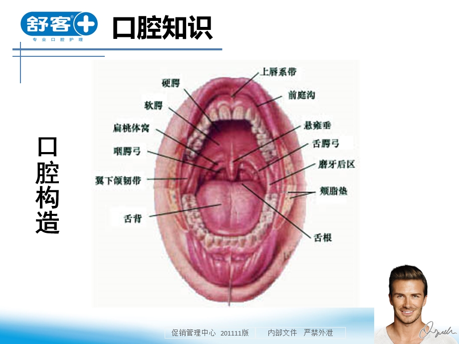 口腔知识常见问题及解析2版.ppt_第3页