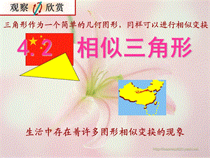 《相似三角形》教学设计.ppt