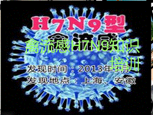 禽流感h7n9知识培训.ppt