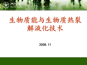 生物质能与生物质热裂解液化技术.ppt