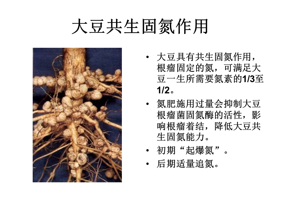 大豆施肥技术.ppt_第3页