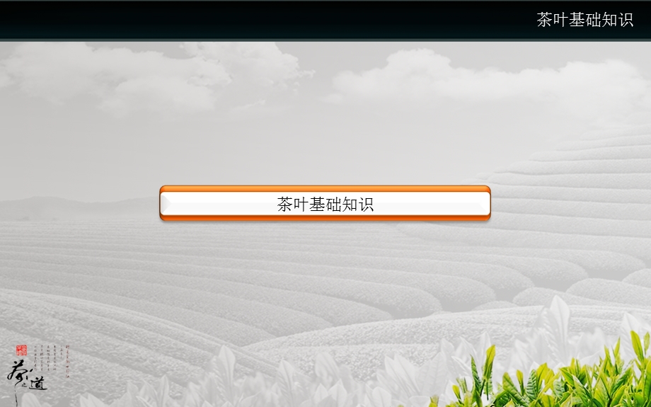 茶叶基础知识培训.ppt.ppt_第2页