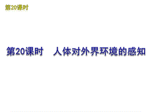 新人教版初中生物七级下册《人体对外界环境的感知》复习课件.ppt