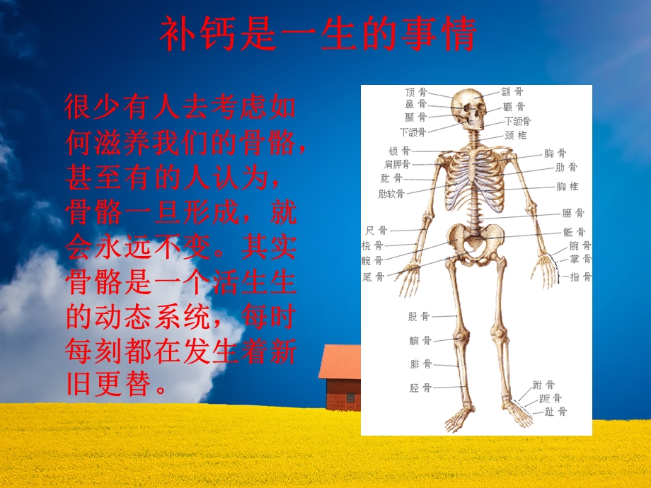 钙与人体健康.ppt_第3页