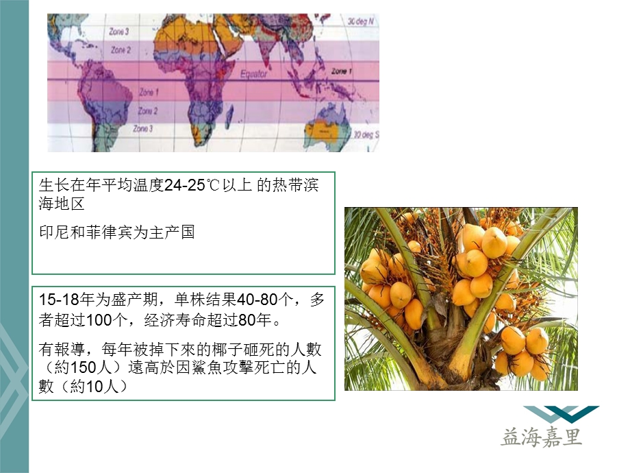 椰子粕的营养价值分析与应用.ppt_第3页