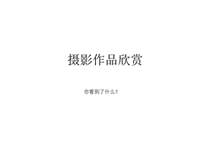 4405091877美妙多变的线条.ppt