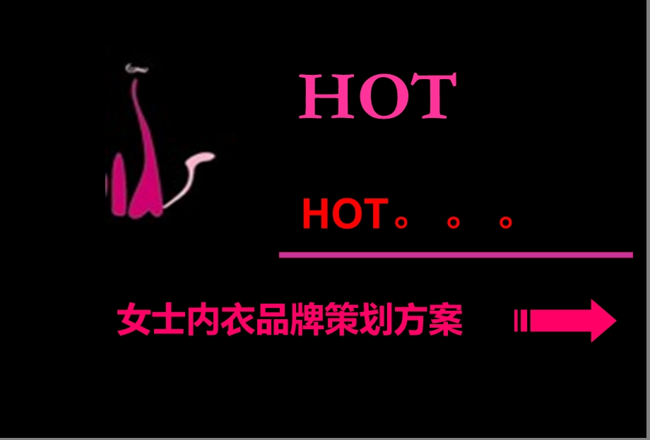 【HOT】时尚女士内衣品牌策划方案.ppt_第1页