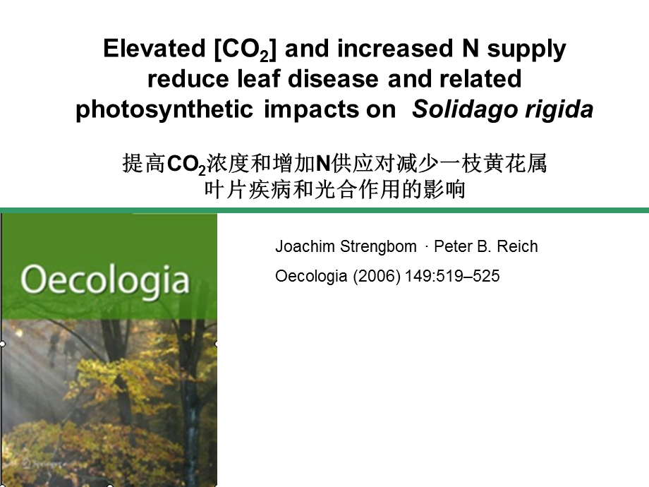 读书报告5增二氧化碳浓度增氮供应对减少一枝黄花属叶片疾病和光合作用的影响.ppt_第1页