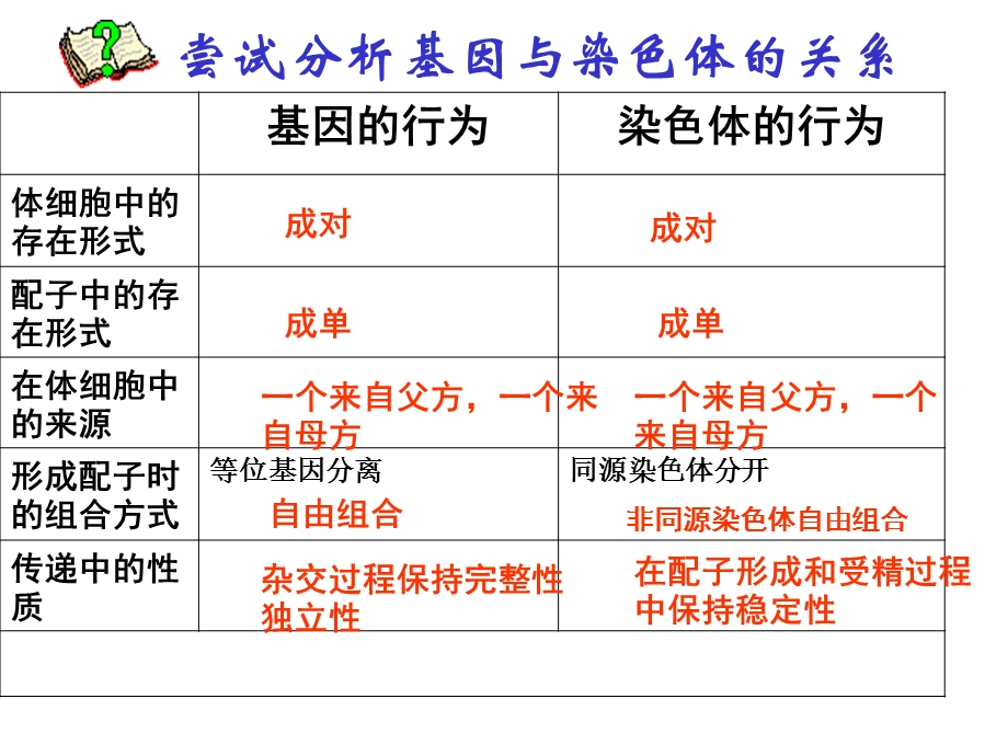 基因在染色体上课件.ppt_第3页