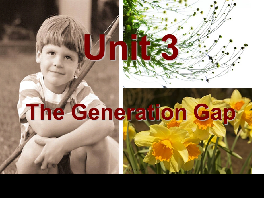 Unit3 The Gneration Gap.ppt_第1页