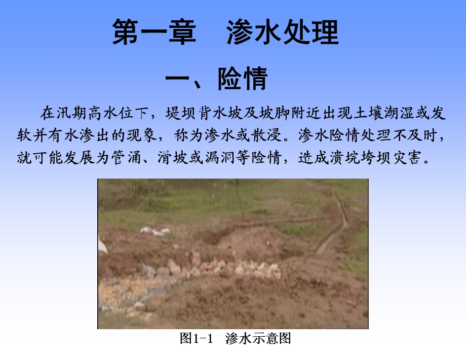 堤坝抢险实例.ppt_第3页