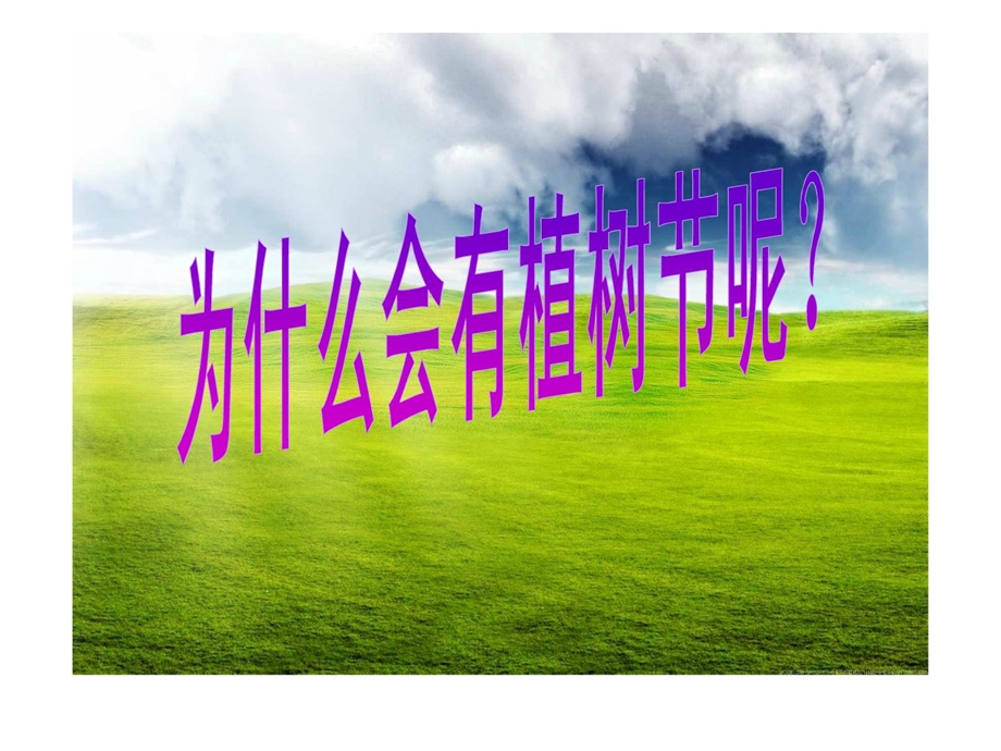 植树节主题班会[最新].ppt_第3页