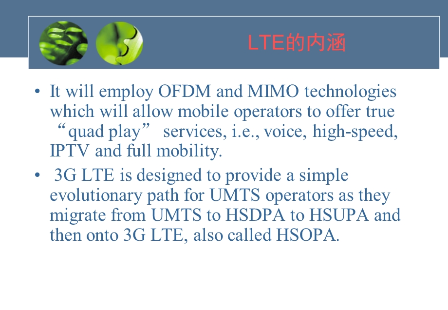 LTE与WiMAX、HSPA的比较及其投资价值(1).ppt_第3页