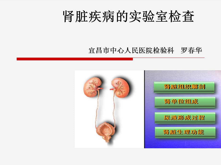 肾功及实验室检查.ppt.ppt_第1页