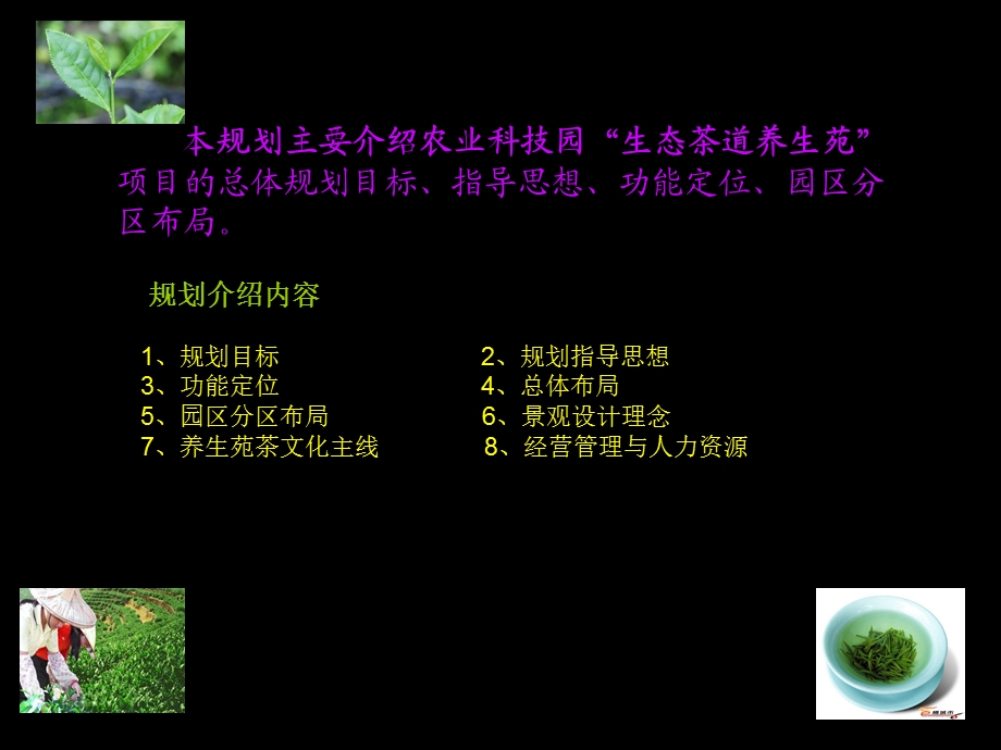 养生茶苑汇策划.ppt_第2页