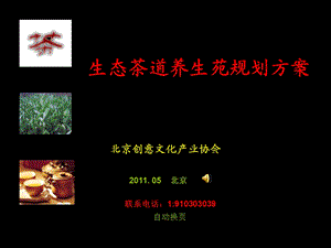 养生茶苑汇策划.ppt