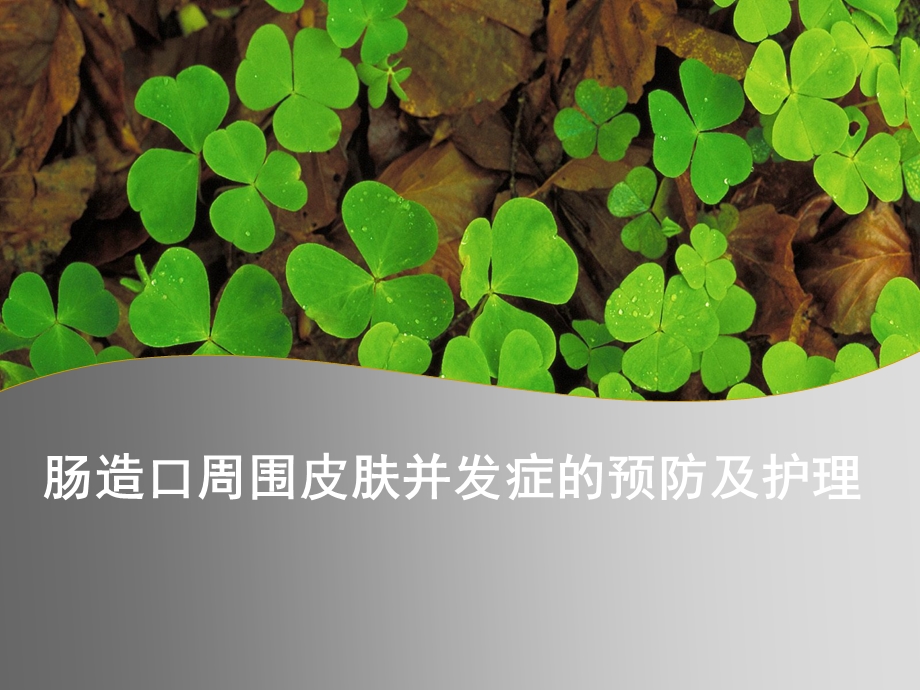 肠造口周围皮肤并发症的护理.ppt_第1页