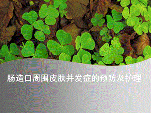 肠造口周围皮肤并发症的护理.ppt