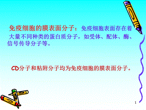 CD分子和粘附分子【PPT】 .ppt