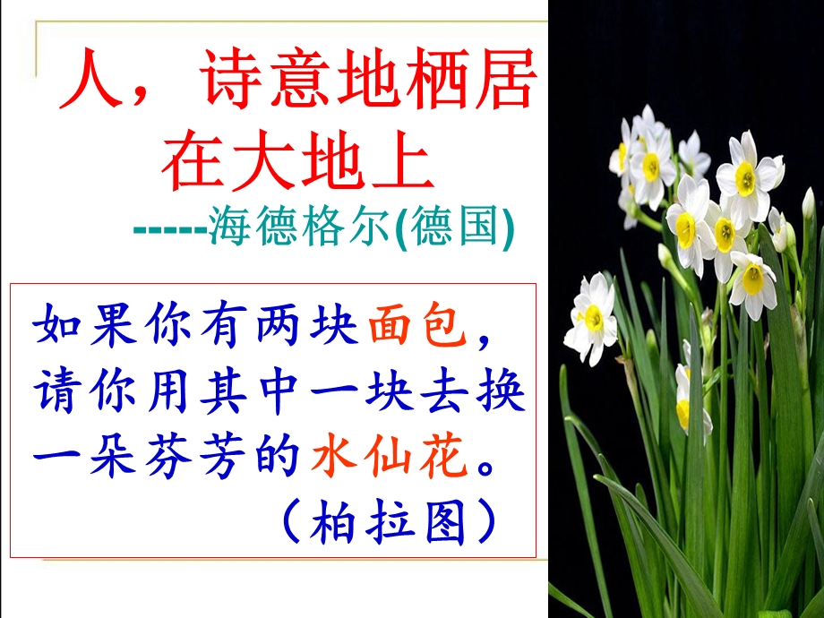 [语文]走近诗歌诗歌导入课.ppt_第2页