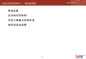 成长中的民营企业(2).ppt