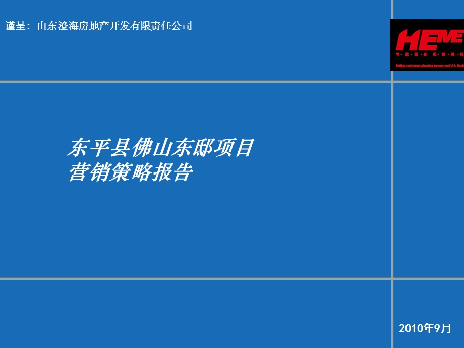 2010年泰安东平县佛山东邸项目营销策略报告164p(2).ppt_第1页