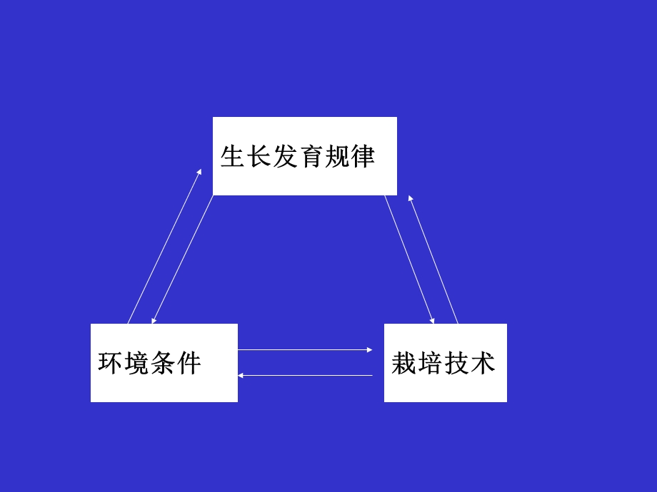 第三章_果树器官的生长发育.ppt_第2页